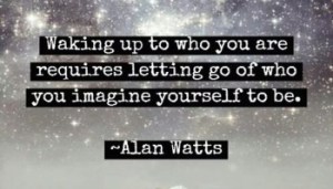 d93f2-10860103_612747995496372_2028678593_n