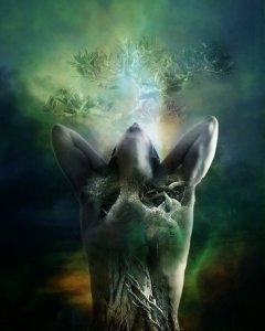 essence_of_life_by_inertiak